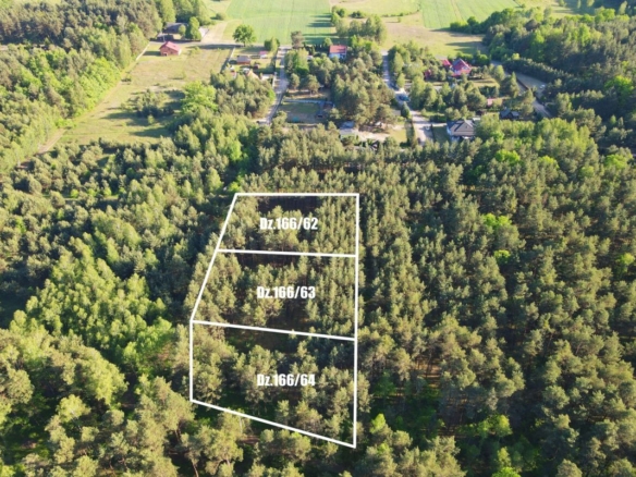 Aerial view of three adjacent forest plots outlined in white, labeled Dz.166/62, 63, and 64, near a rural housing area.