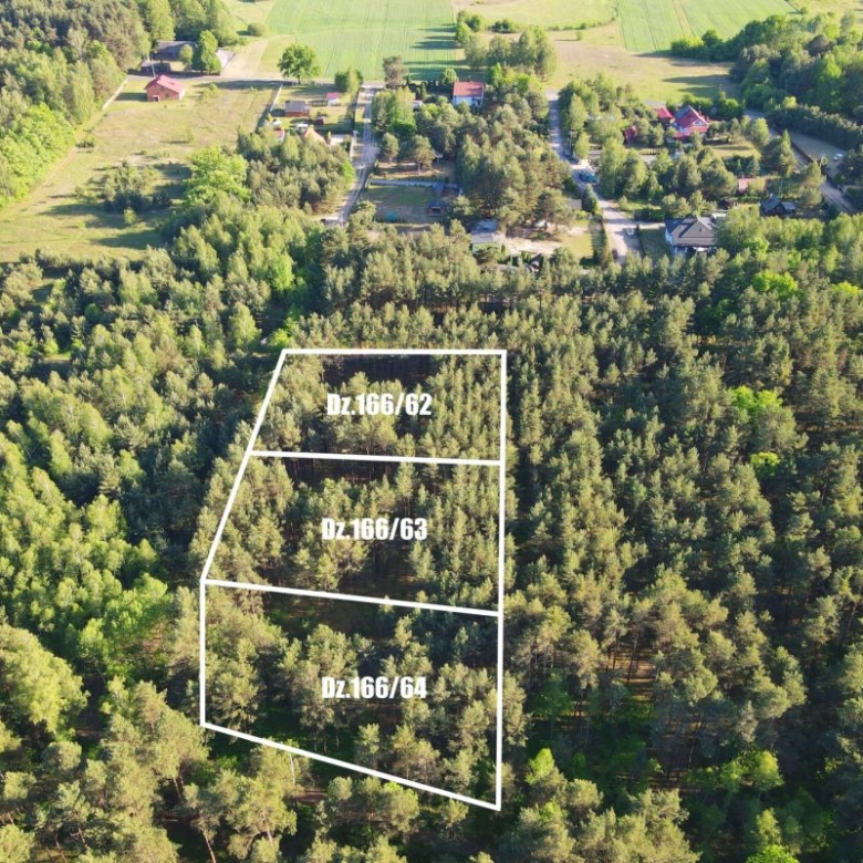 Aerial view of three adjacent forest plots outlined in white, labeled Dz.166/62, 63, and 64, near a rural housing area.