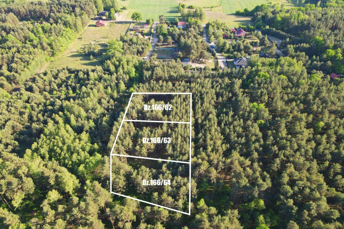 Aerial view of three adjacent forest plots outlined in white, labeled Dz.166/62, 63, and 64, near a rural housing area.