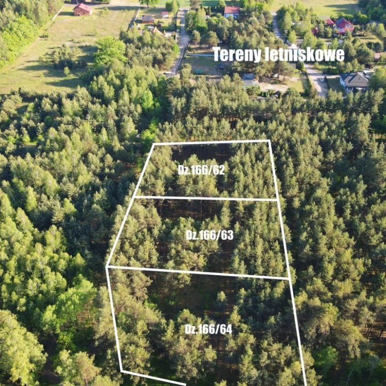 Aerial view of pine forest with three outlined parcels labeled Dz.166/62–Dz.166/64 and 'Tereny letniskowe' (recreational land).