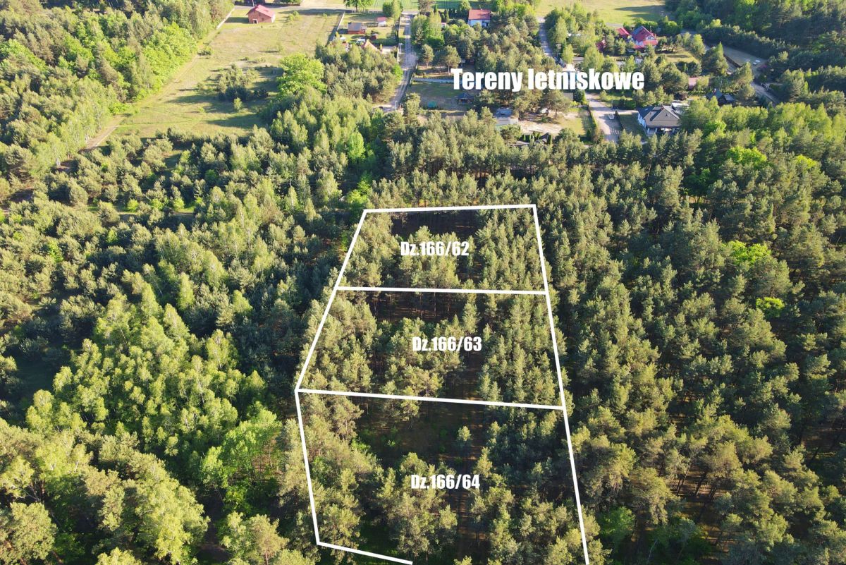 Aerial view of pine forest with three outlined parcels labeled Dz.166/62–Dz.166/64 and 'Tereny letniskowe' (recreational land).