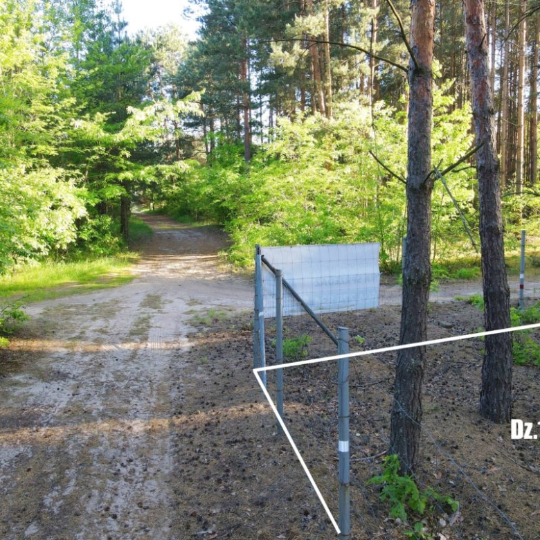 Sunlit forest path with a metal gate and white boundary lines in the foreground, labeled Dz.166/62.