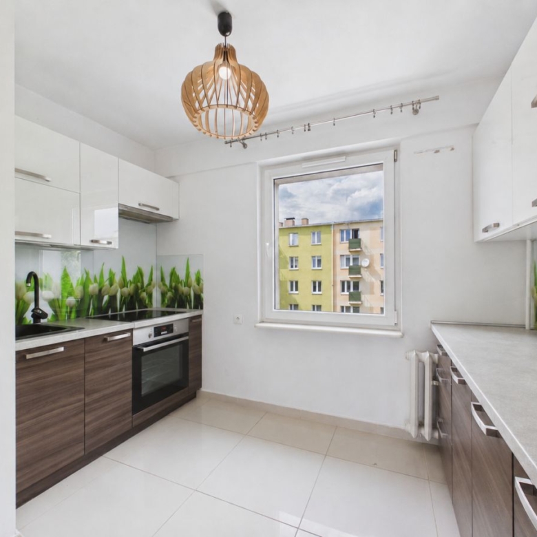Bright modern kitchen with white upper cabinets, dark wood lower cabinets, a green plant backsplash, and a large window showing a multi-story building outside.