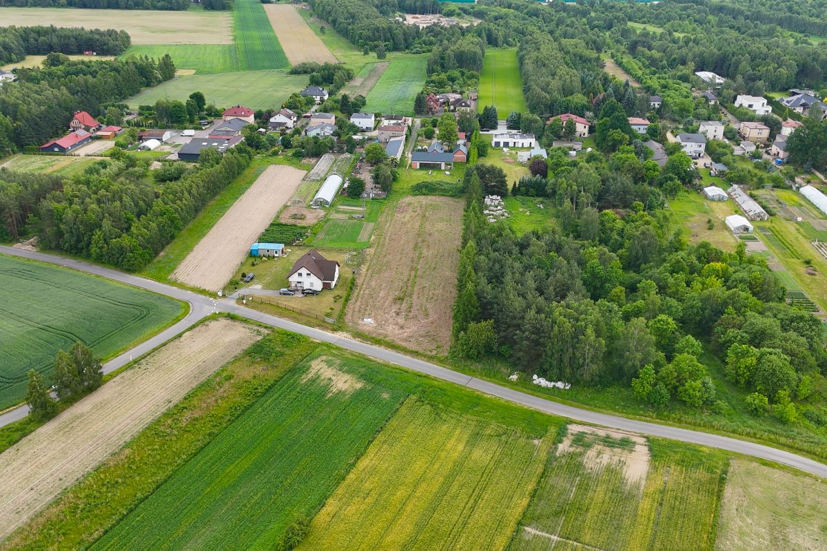Aerial view of a rural village with houses, fields, and forested areas along a curved road.