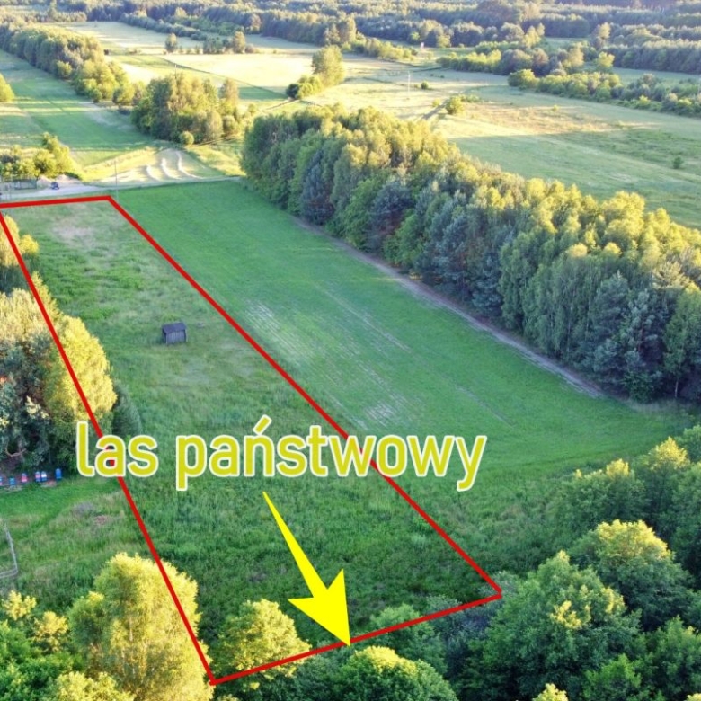 Aerial view of a rectangular grassy plot outlined in red with a yellow arrow pointing to its bottom-right corner, labeled 'las państwowy' in Polish.