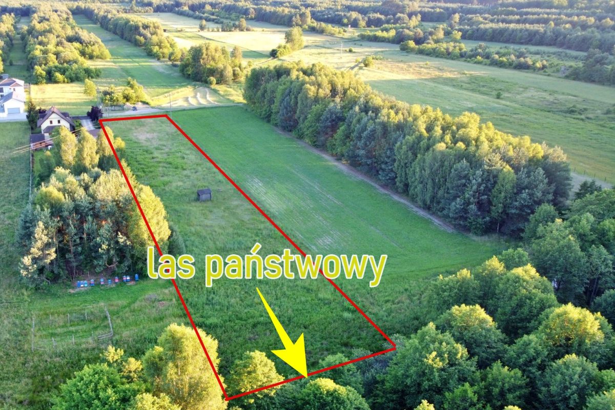Aerial view of a rectangular grassy plot outlined in red with a yellow arrow pointing to its bottom-right corner, labeled 'las państwowy' in Polish.