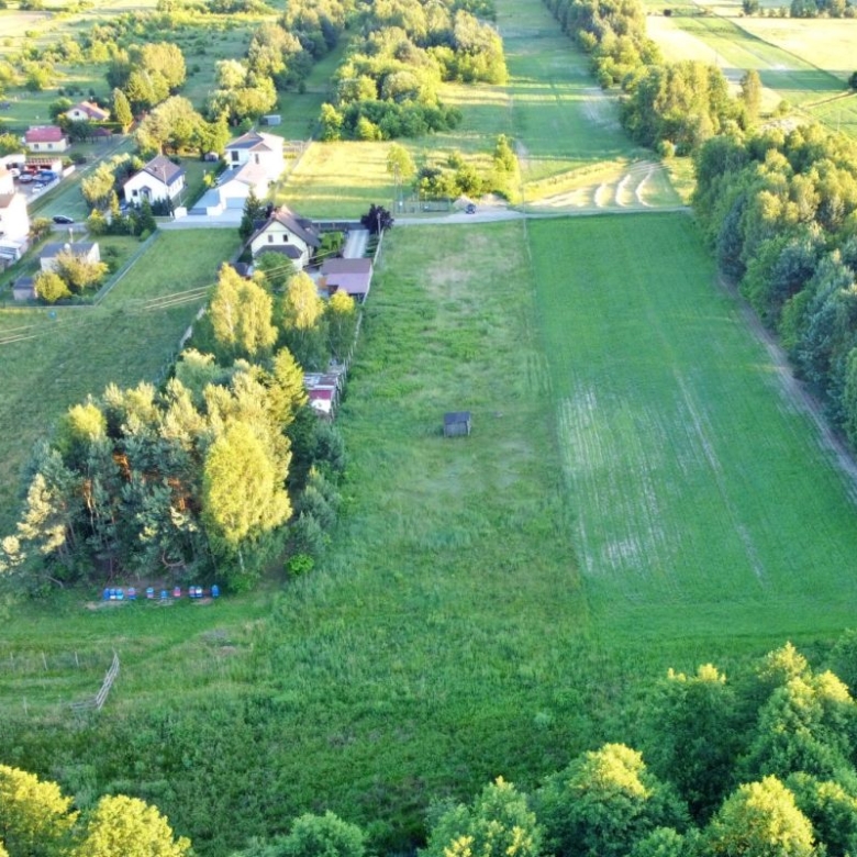 Aerial view of a rural village with green fields, houses, and a tree-lined road