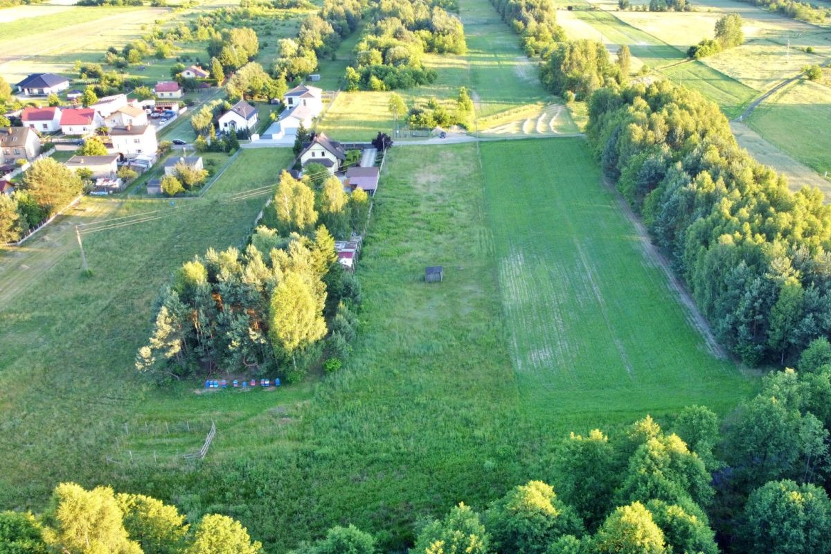 Aerial view of a rural village with green fields, houses, and a tree-lined road