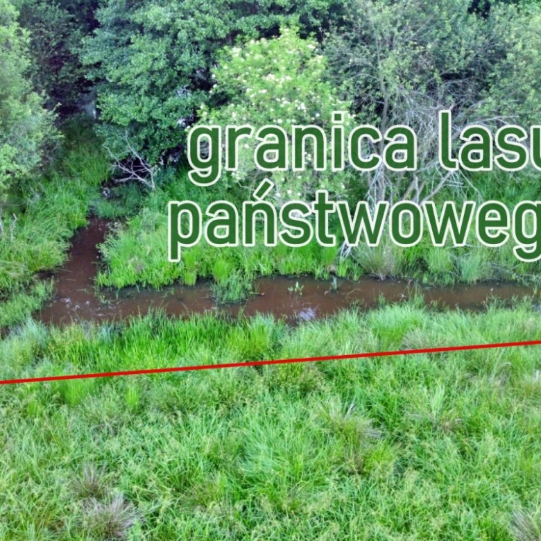 Aerial view of a river and green grasses with a bold red diagonal boundary line and the Polish text 'granica lasu państwowego' overlaying the scene.