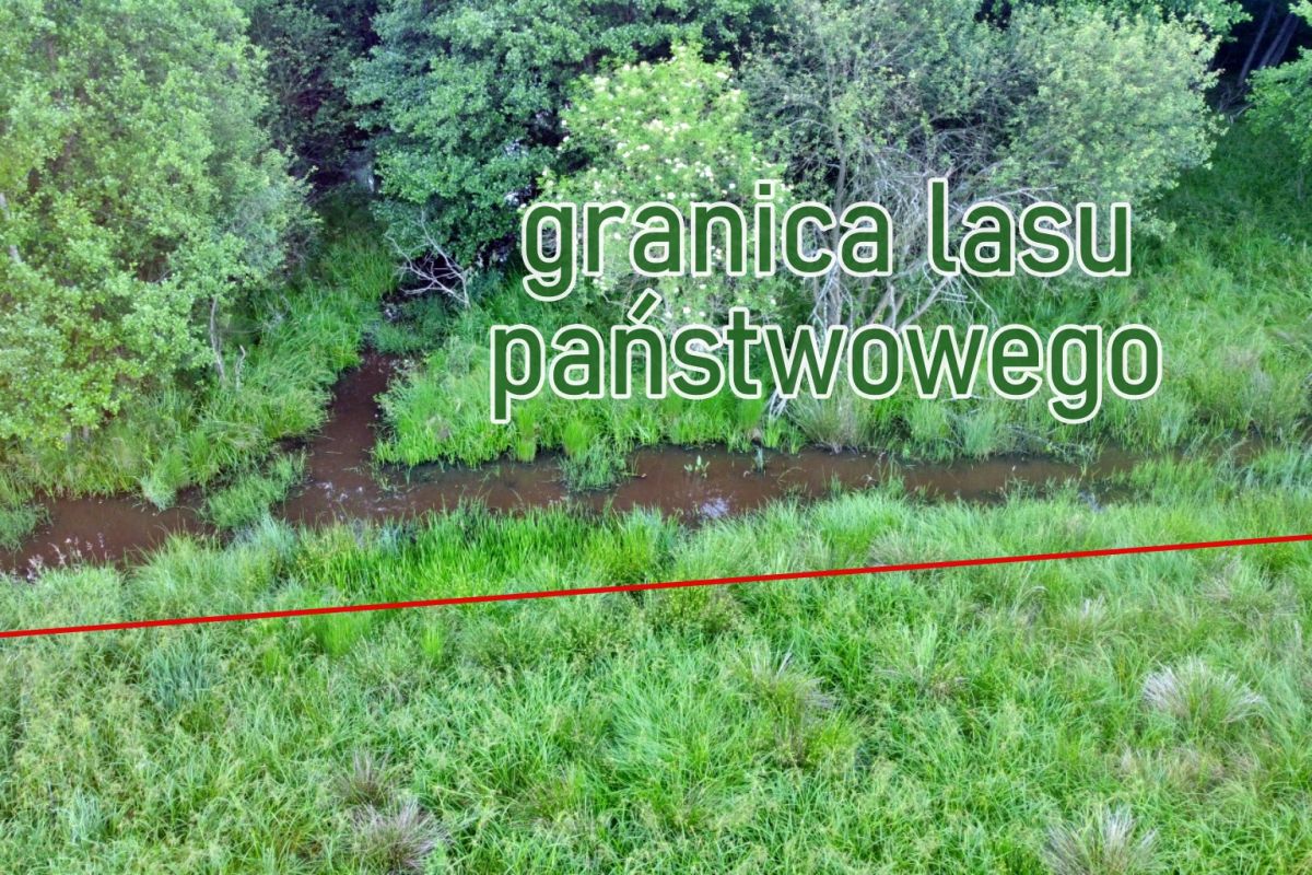 Aerial view of a river and green grasses with a bold red diagonal boundary line and the Polish text 'granica lasu państwowego' overlaying the scene.