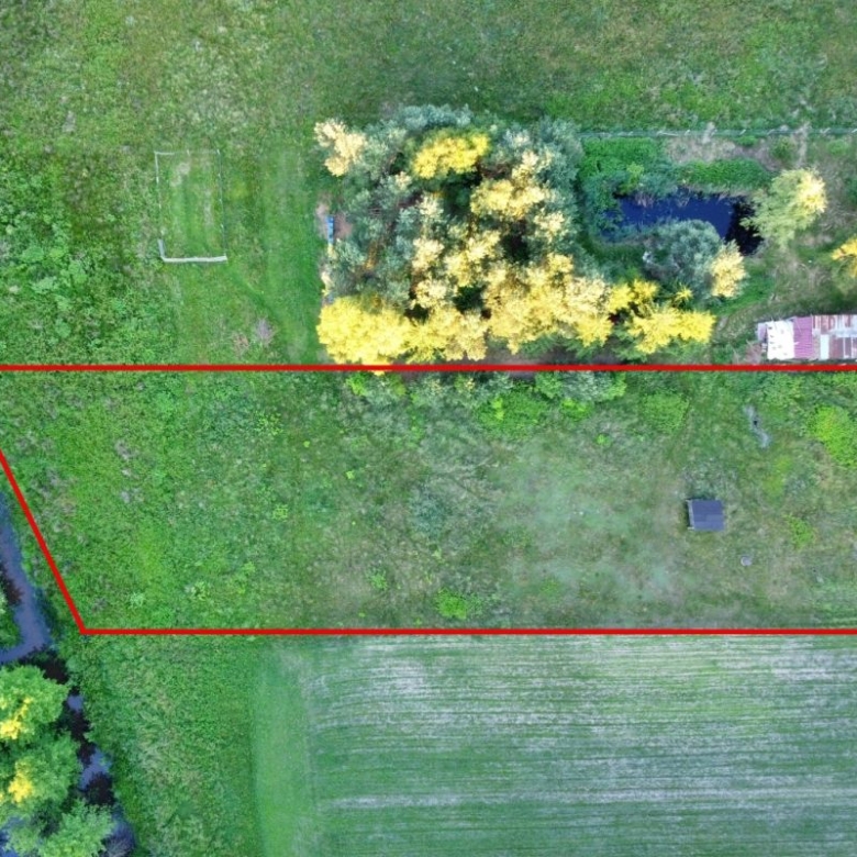Aerial view of a red-outlined rectangular plot on green field with trees along the left edge and a small shed inside.