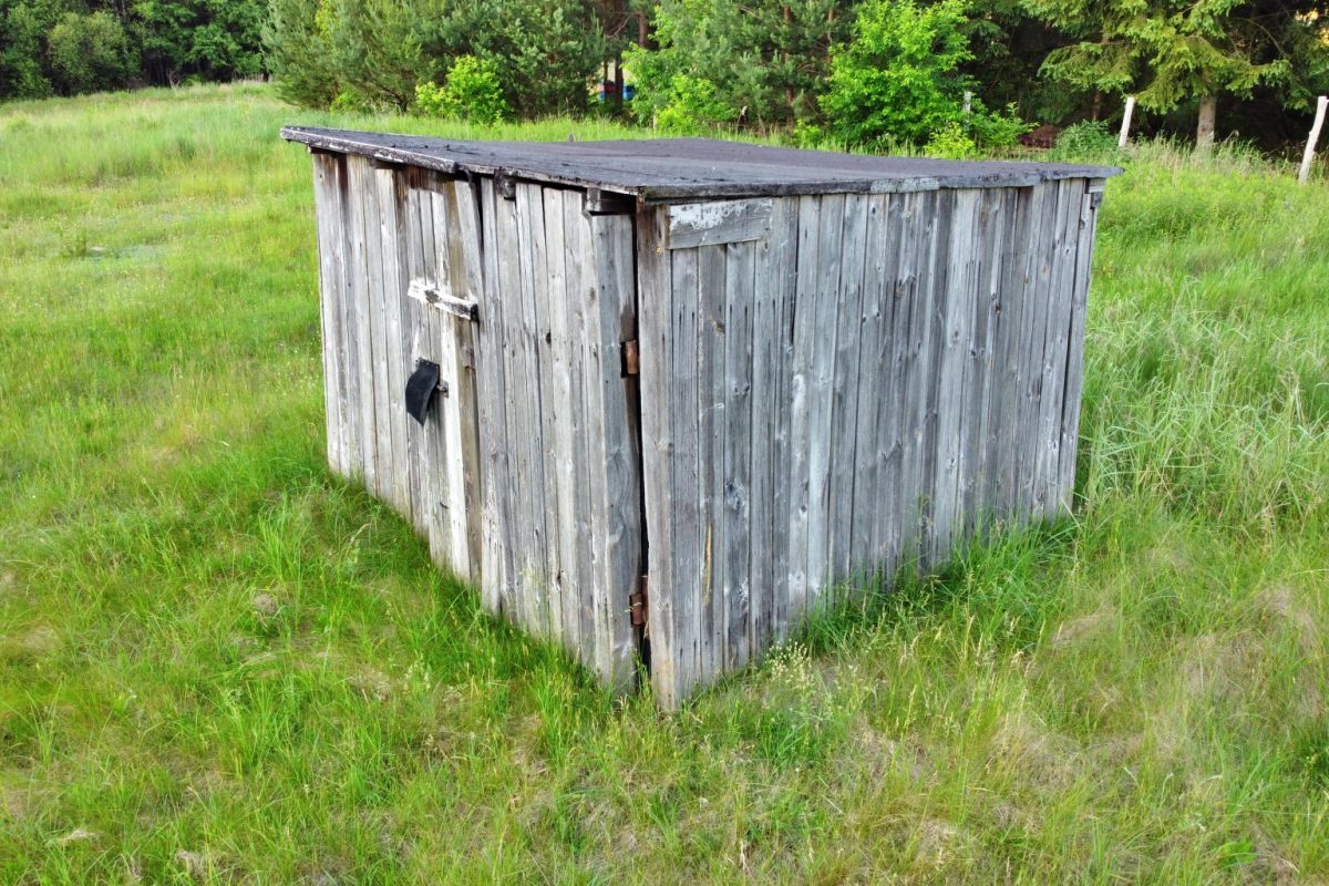 Weathered wooden shed in a grassy field, with a flat, dark roof and a black latch on the door edges nearby trees in the background.