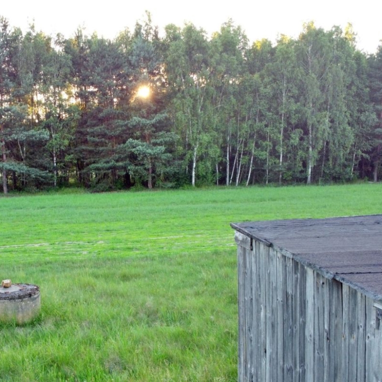 Sun peeks through trees over a green field with a weathered wooden shed on the right.