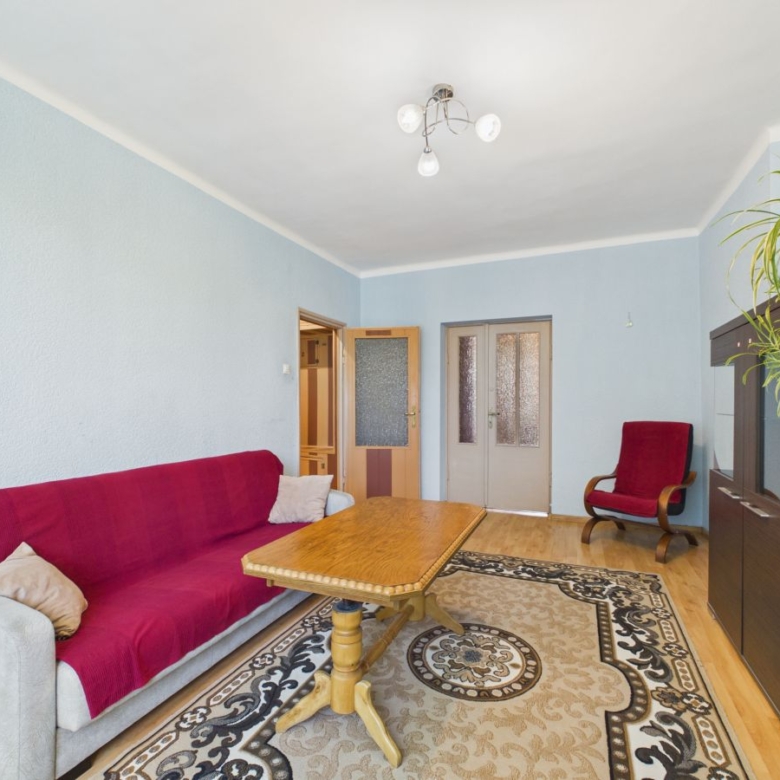 Living room with pale blue walls, a red-covered sofa, a wooden coffee table, and a patterned rug, plus a red armchair and dark cabinet with a plant on top.