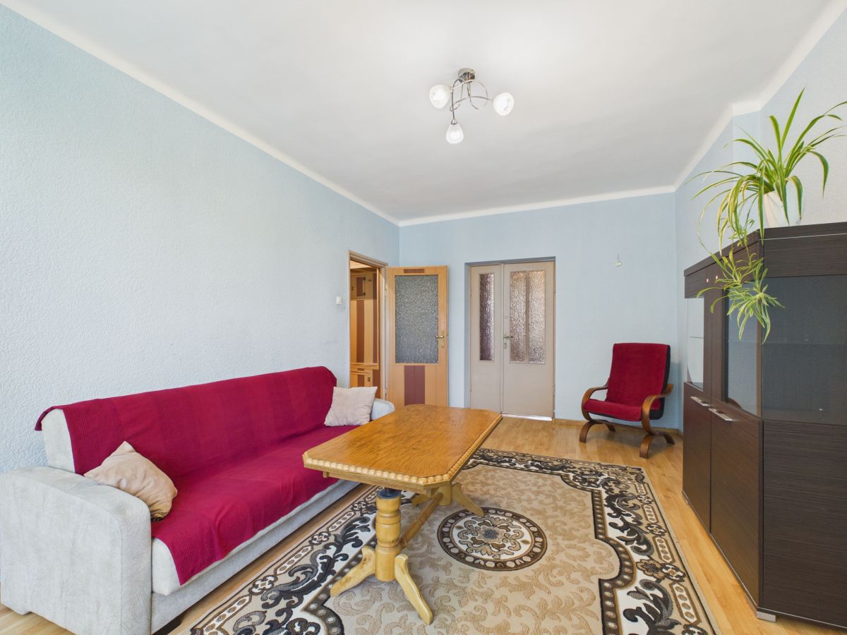 Living room with pale blue walls, a red-covered sofa, a wooden coffee table, and a patterned rug, plus a red armchair and dark cabinet with a plant on top.