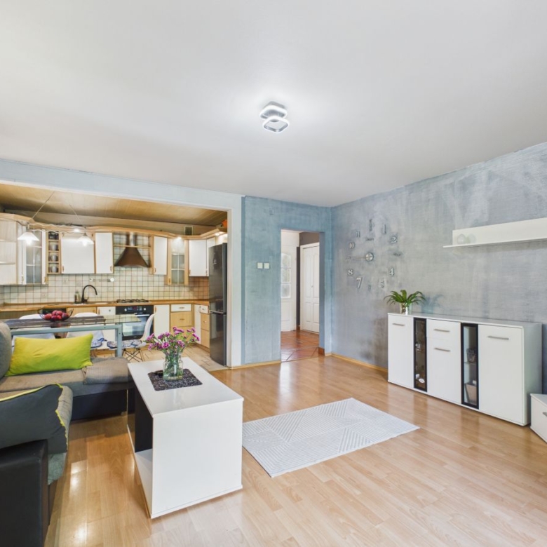 Open-plan living room and kitchen with light wood floors, gray sofa, white coffee table, and blue textured walls of the main area.