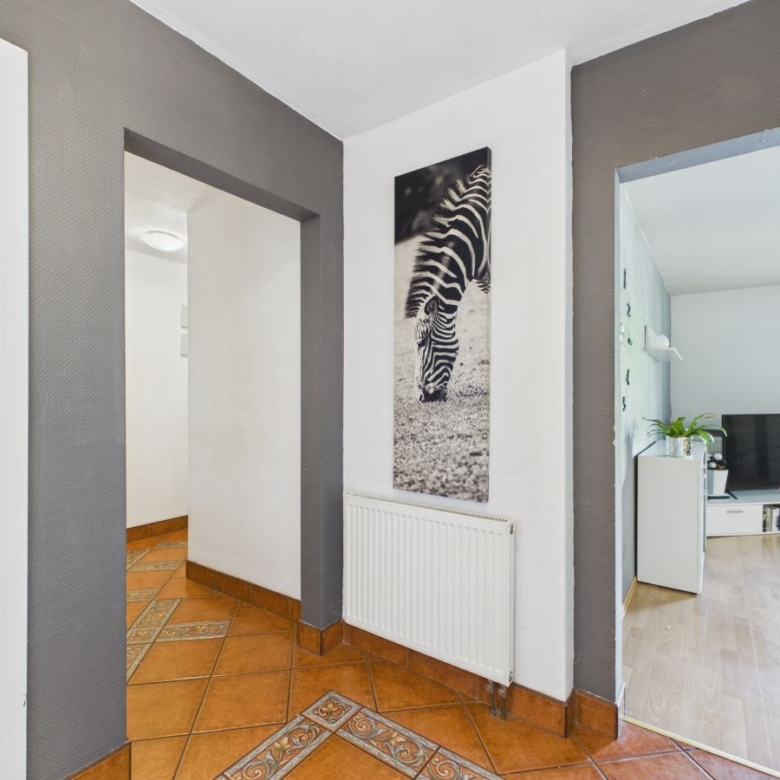 Hallway with white walls and dark gray trim, a zebra artwork on the wall, and an orange tiled floor; living room visible to the right with a TV.