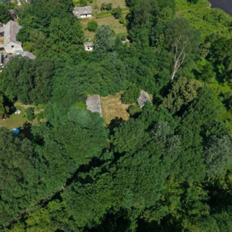 Aerial view of houses tucked along the edge of a dense forest with a river to the right.