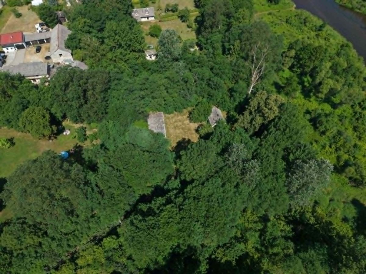 Aerial view of houses tucked along the edge of a dense forest with a river to the right.