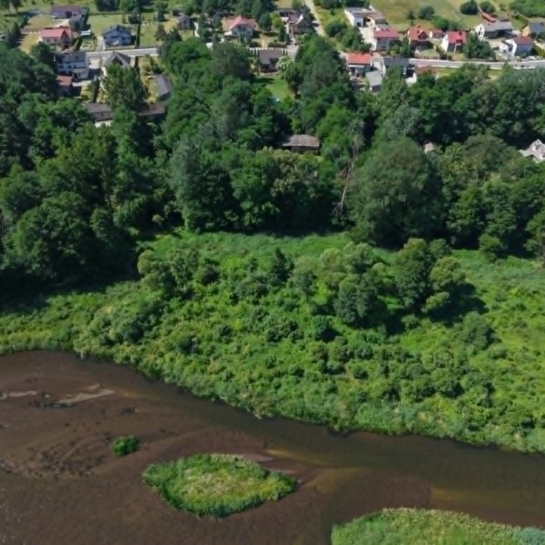 Aerial view of a winding river with dense green vegetation along its banks and houses visible in the background at the top edge of the image.