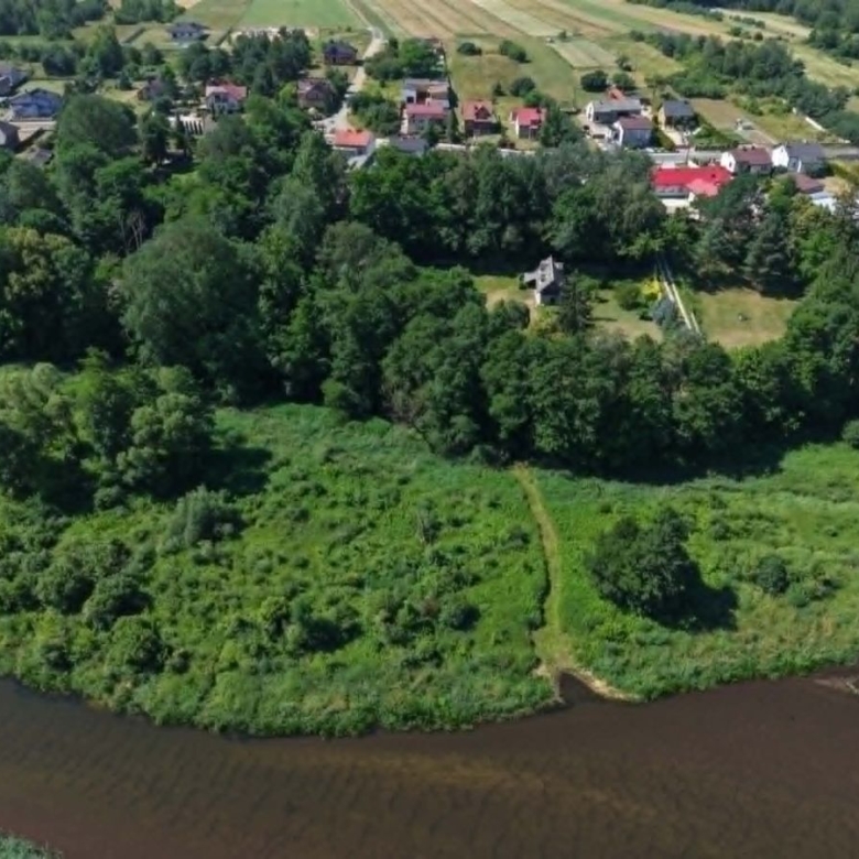Aerial view of a riverside, with dense green vegetation along the bank and a small village of houses on a hilltop beyond the trees.