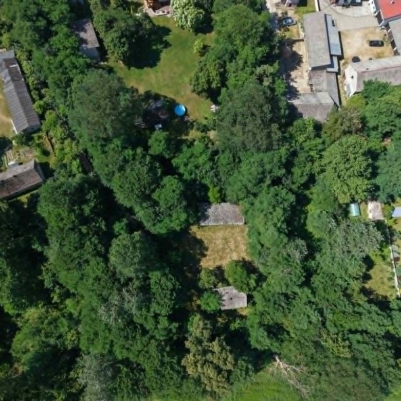 Aerial view of a densely treed residential area with houses and gardens visible from above.