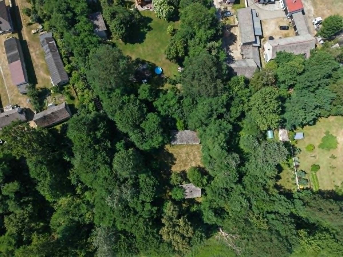 Aerial view of a densely treed residential area with houses and gardens visible from above.