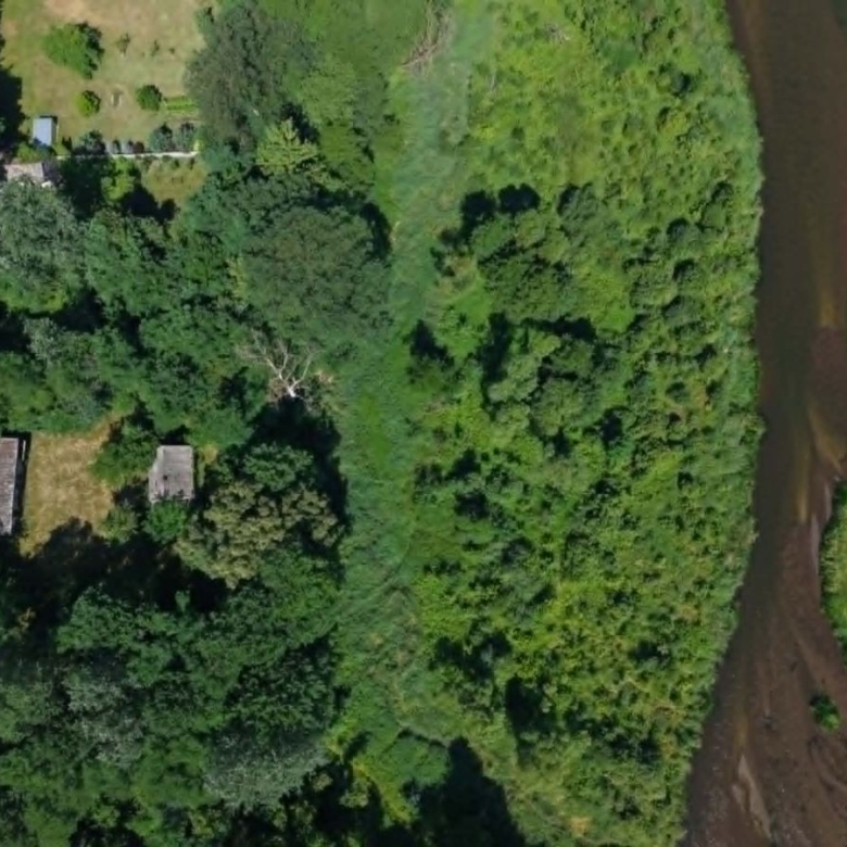 Aerial view of a dense forest with a brown river along the right edge and a few small buildings tucked among the trees on the left.