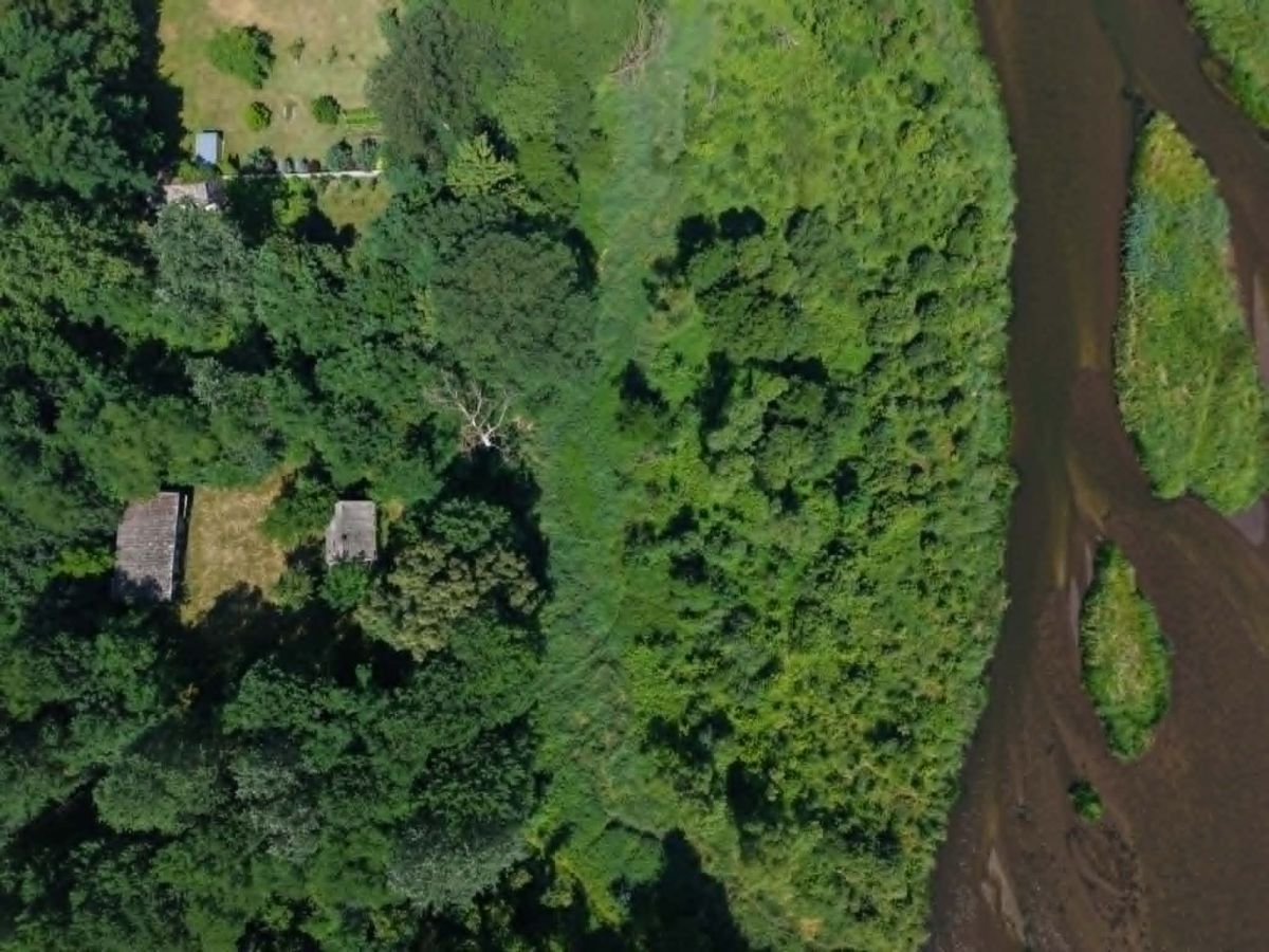 Aerial view of a dense forest with a brown river along the right edge and a few small buildings tucked among the trees on the left.