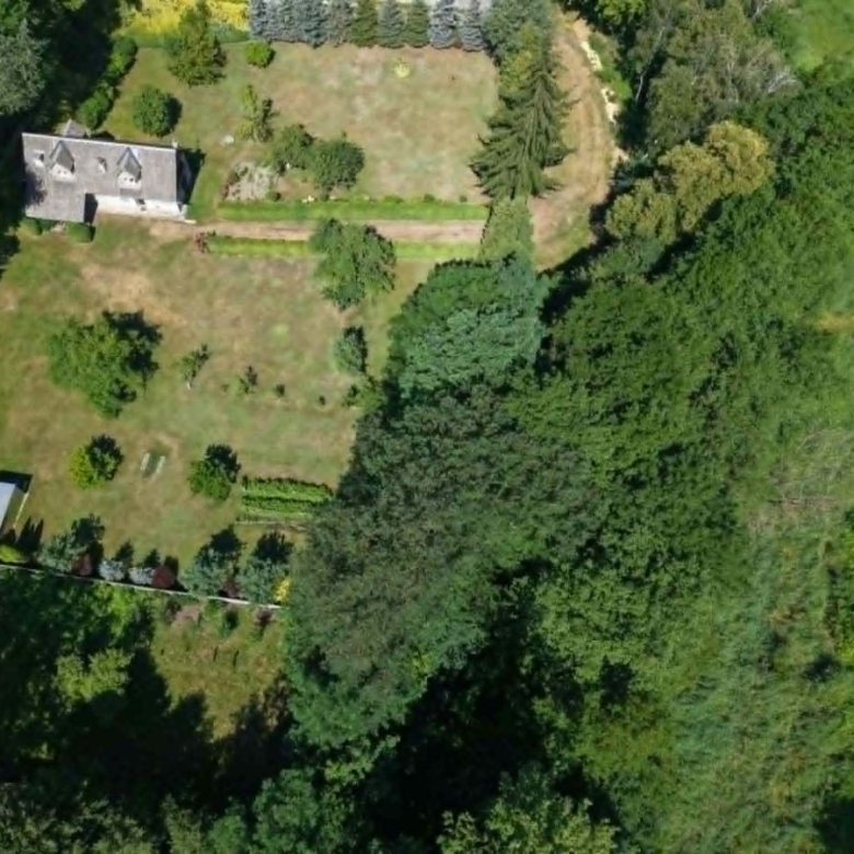 Aerial view of a rectangular garden with a small house on the left and dense trees surrounding the yard.