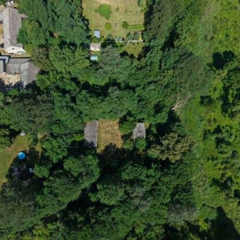Aerial view of a residential yard: dense trees, a small blue circular pool in the lawn, and several buildings at the edge of a forested area.