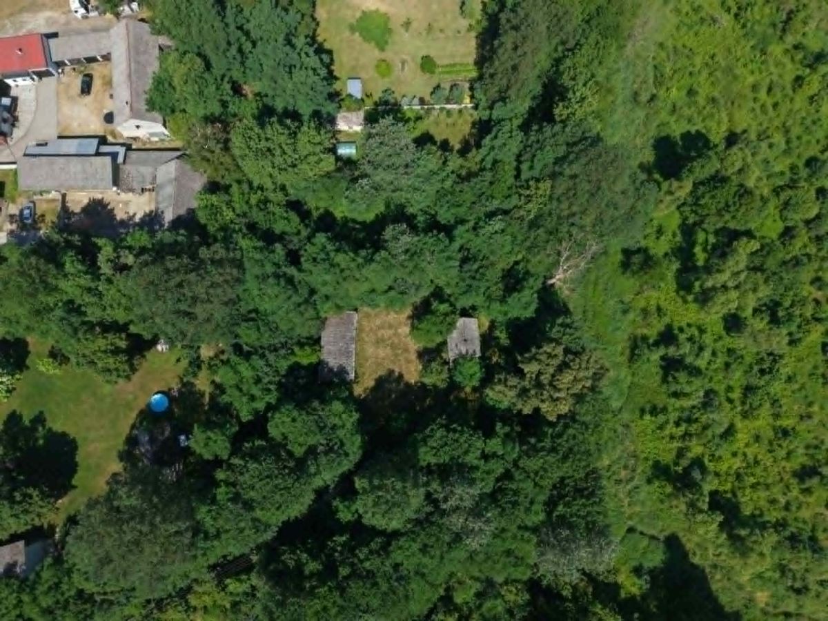 Aerial view of a residential yard: dense trees, a small blue circular pool in the lawn, and several buildings at the edge of a forested area.