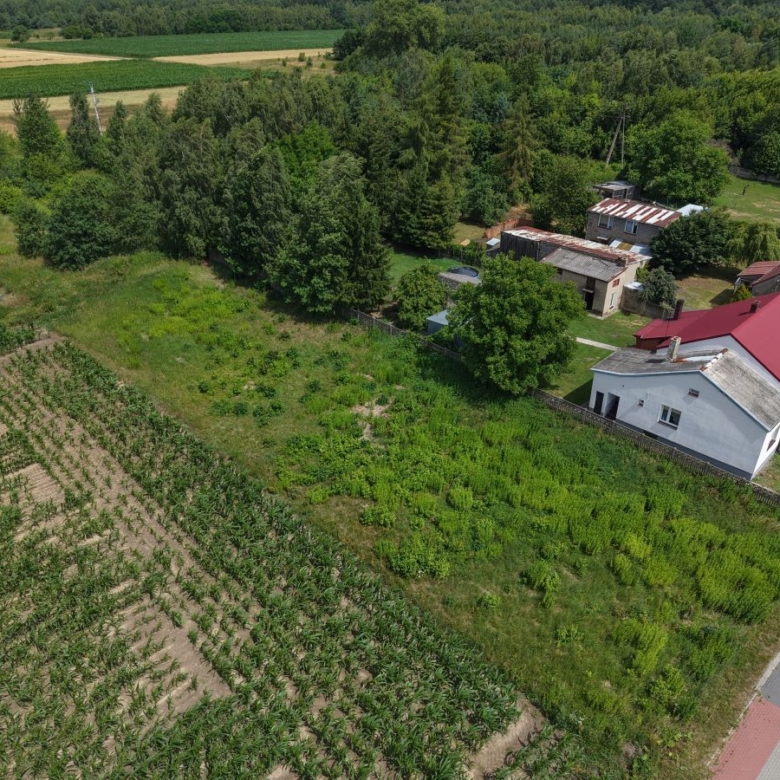 Aerial view of a farm: white house with red roof, several small outbuildings, and surrounding crop fields and trees on the edge of a road.