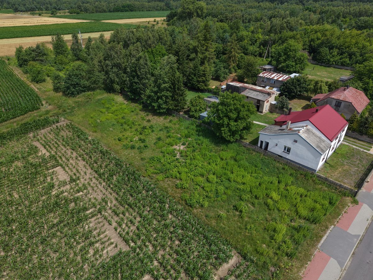 Aerial view of a farm: white house with red roof, several small outbuildings, and surrounding crop fields and trees on the edge of a road.