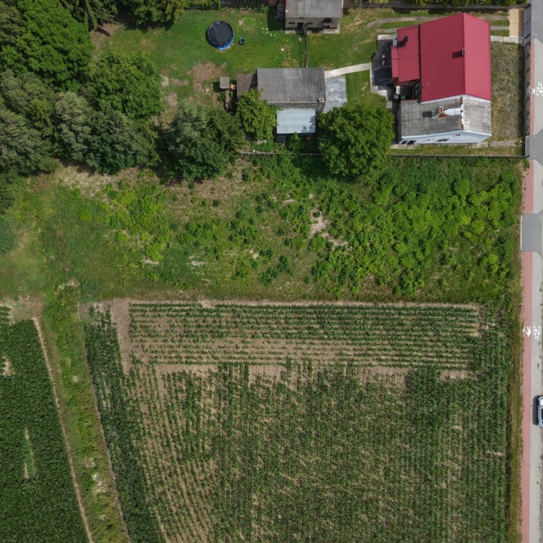 Aerial view of farmland with striped crop rows bottom-left, green field center, and a road with buildings on the right.