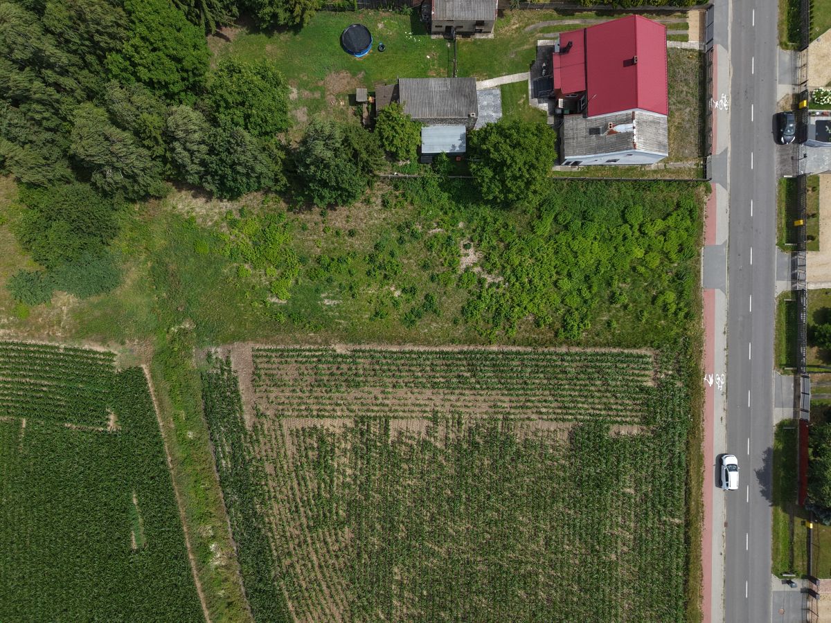 Aerial view of farmland with striped crop rows bottom-left, green field center, and a road with buildings on the right.