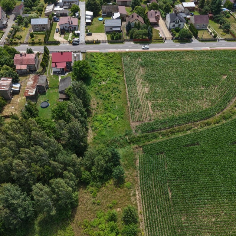 Aerial view of a rural neighborhood along a road bordered by crop fields and a forest edge.
