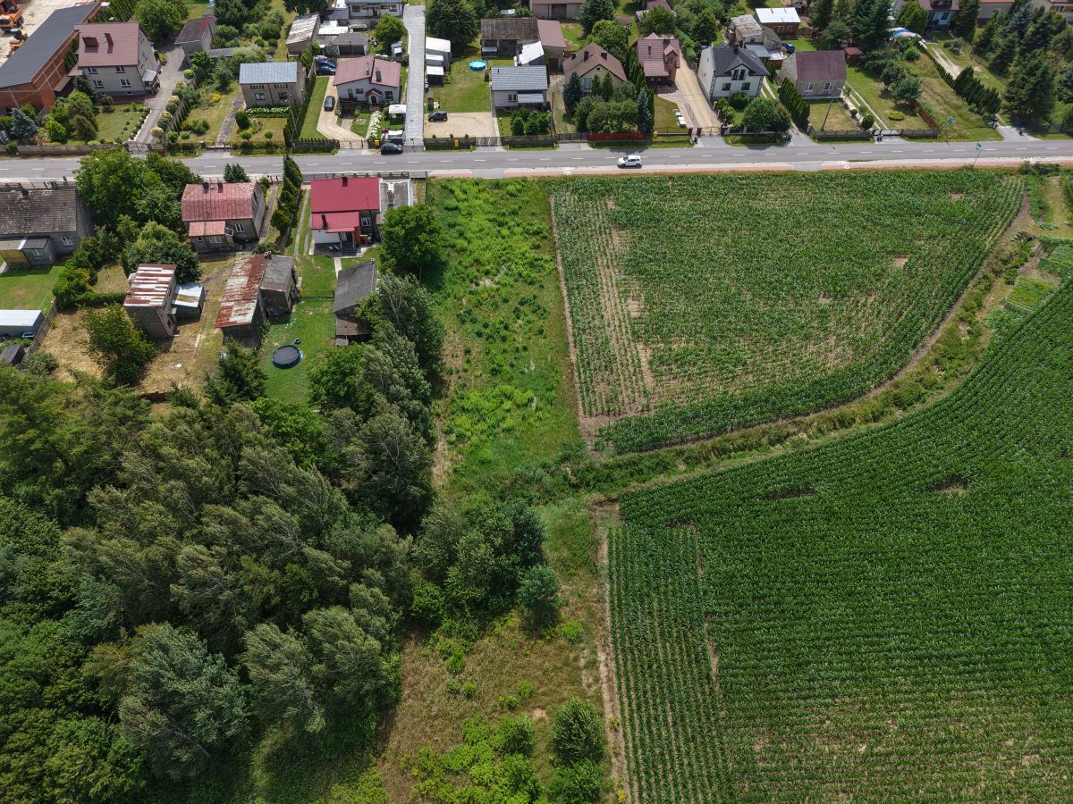Aerial view of a rural neighborhood along a road bordered by crop fields and a forest edge.