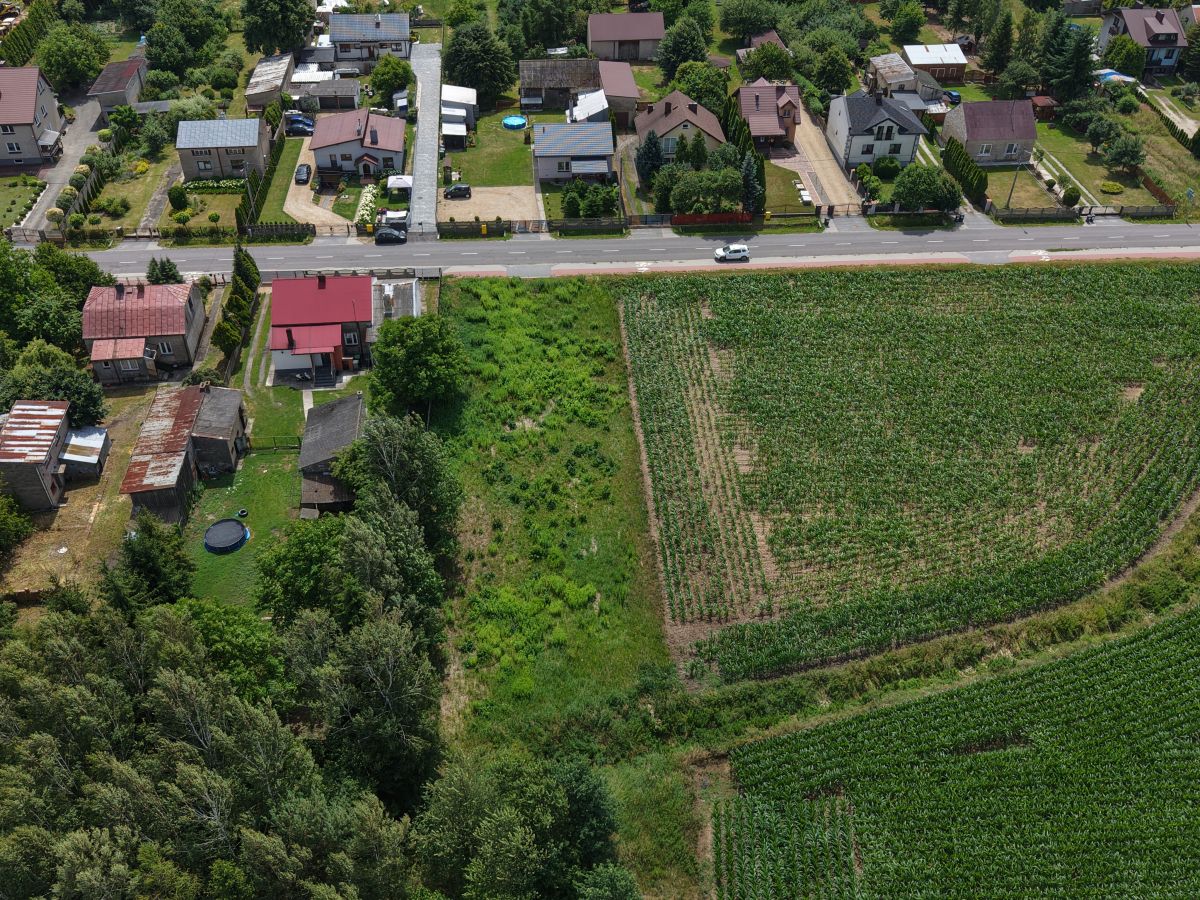 Aerial view of a small town with houses along a road next to green fields and vineyard rows on the right.”,