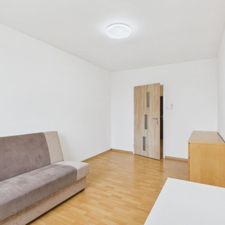 Minimalist living room with a two-tone brown sofa, light wood floor, a wooden door, and a small cabinet against white walls.