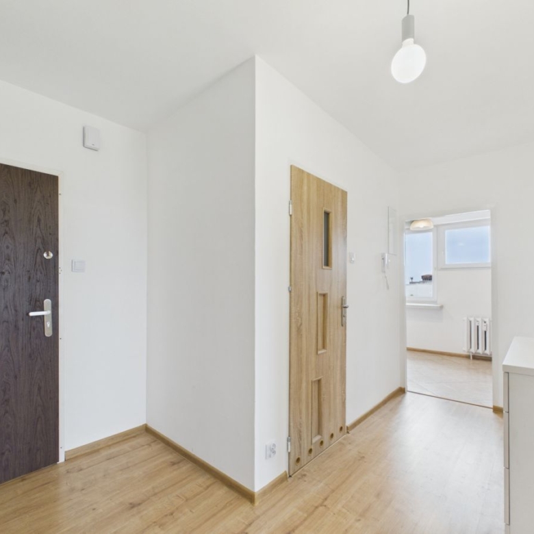 Bright hallway with white walls and light wood floor; dark front door on left, wooden interior door center, and an open doorway to a sunlit room.