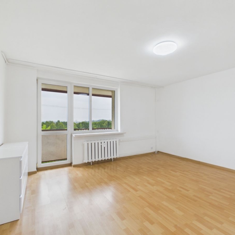 Bright empty living room with light wood floor, white walls, a large window and balcony door, and a white radiator beneath the window.