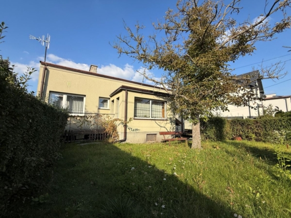 Beige house with large front windows, a grassy yard, and a leafed tree in the foreground on a sunny day shift to the right.