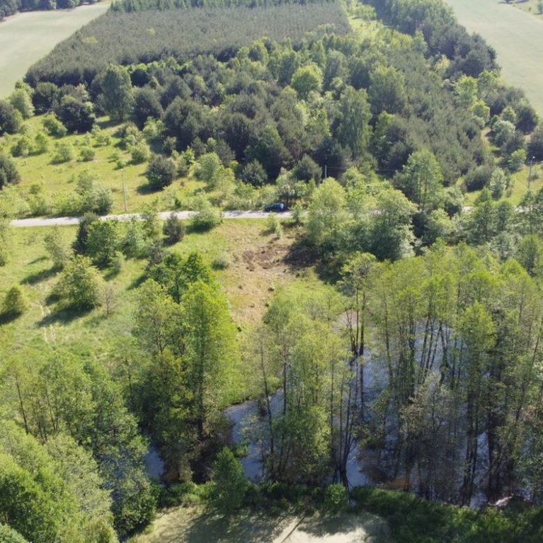 Aerial view of a rural landscape: dense trees along a winding river, open grassy fields, and a road with a car parked nearby.
