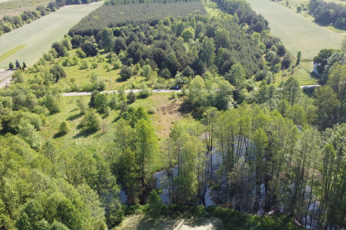 Aerial view of a rural landscape: dense trees along a winding river, open grassy fields, and a road with a car parked nearby.
