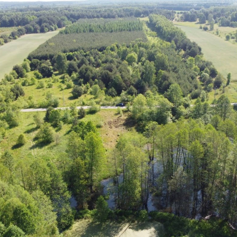 Aerial view of rural countryside with green fields, a tree-lined edge, and a small stream running through a wooded area at the bottom.
