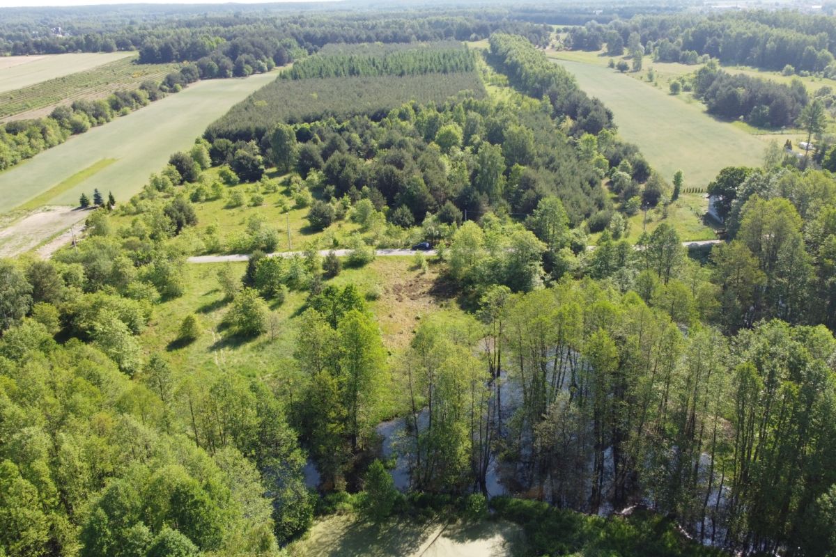Aerial view of rural countryside with green fields, a tree-lined edge, and a small stream running through a wooded area at the bottom.