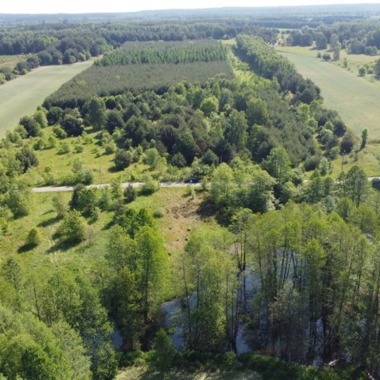 Aerial view of a rural landscape with a winding road through a grassy clearing and dense tree cover surrounding fields in the distance.