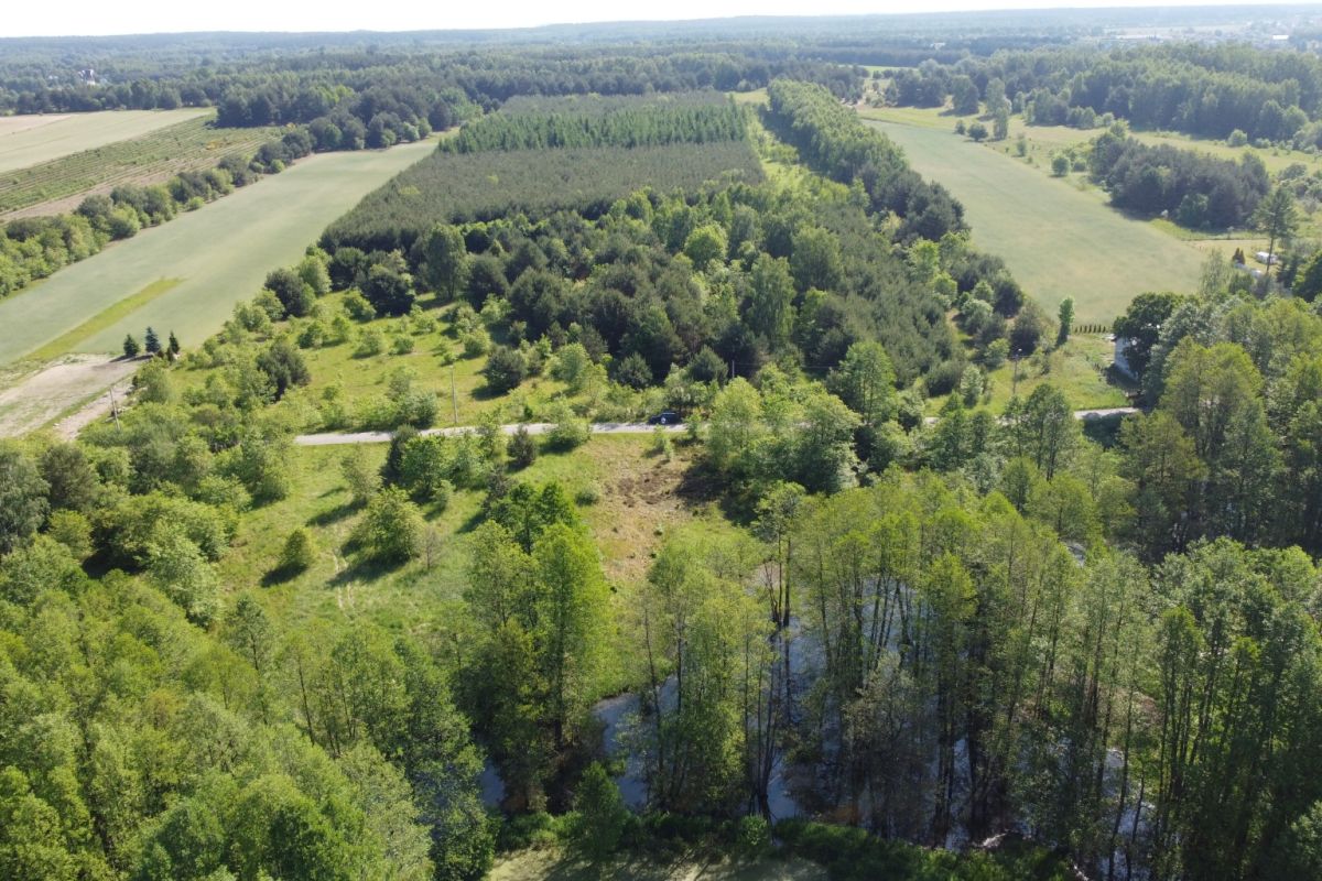 Aerial view of a rural landscape with a winding road through a grassy clearing and dense tree cover surrounding fields in the distance.