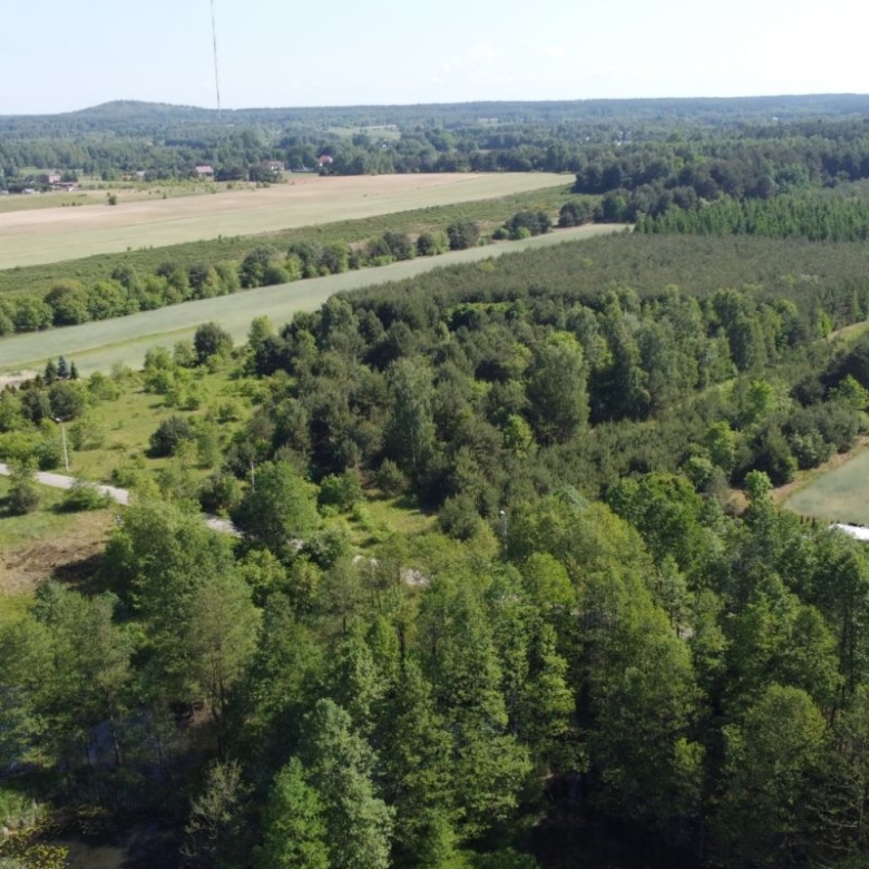 Aerial view of rural farmland with checkerboard fields, tree lines, and distant farm buildings amid green fields and forests.